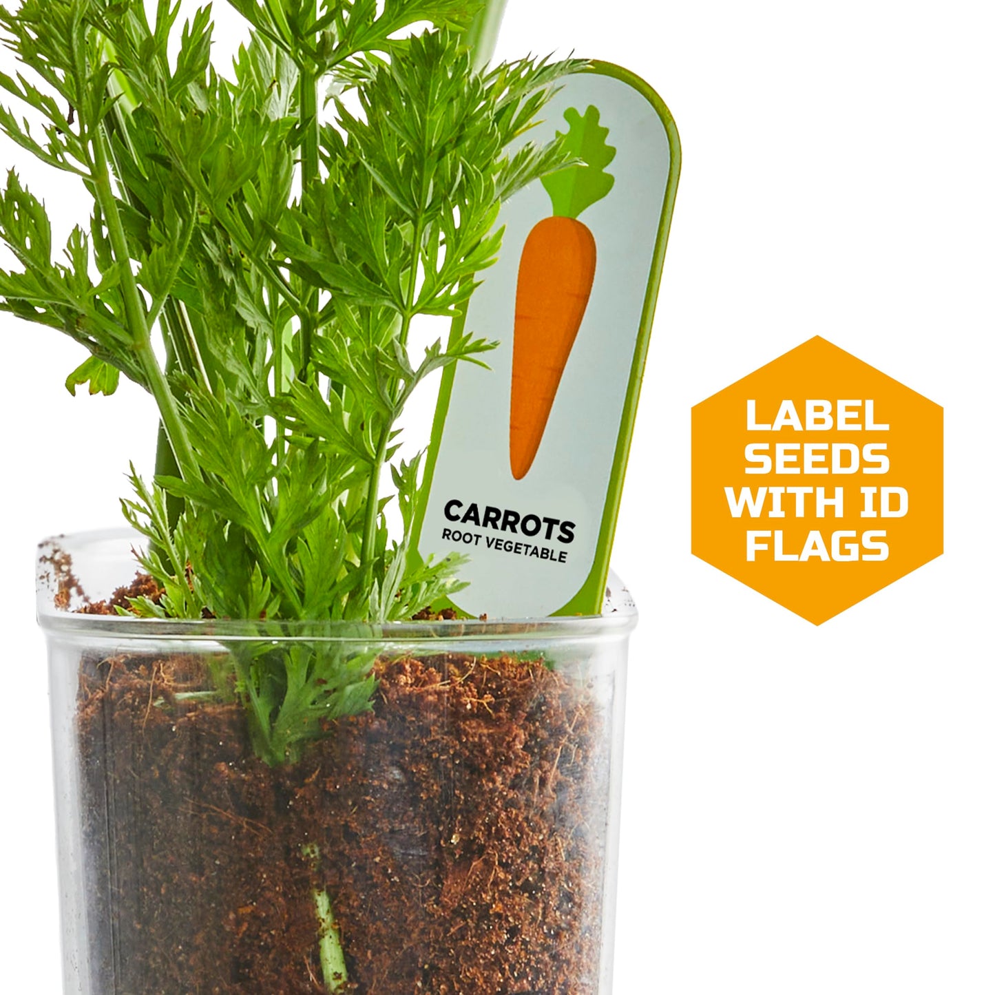 Discovery™ Edible Veggie Garden Watch-It-Grow Kit – DIY STEM Activity for Kids | Grow Carrots, Radishes & Onions| 11-Piece Science Kit with Seeds, Potting Mix & Root Tracker| Learning Toy Gift Ages 6+