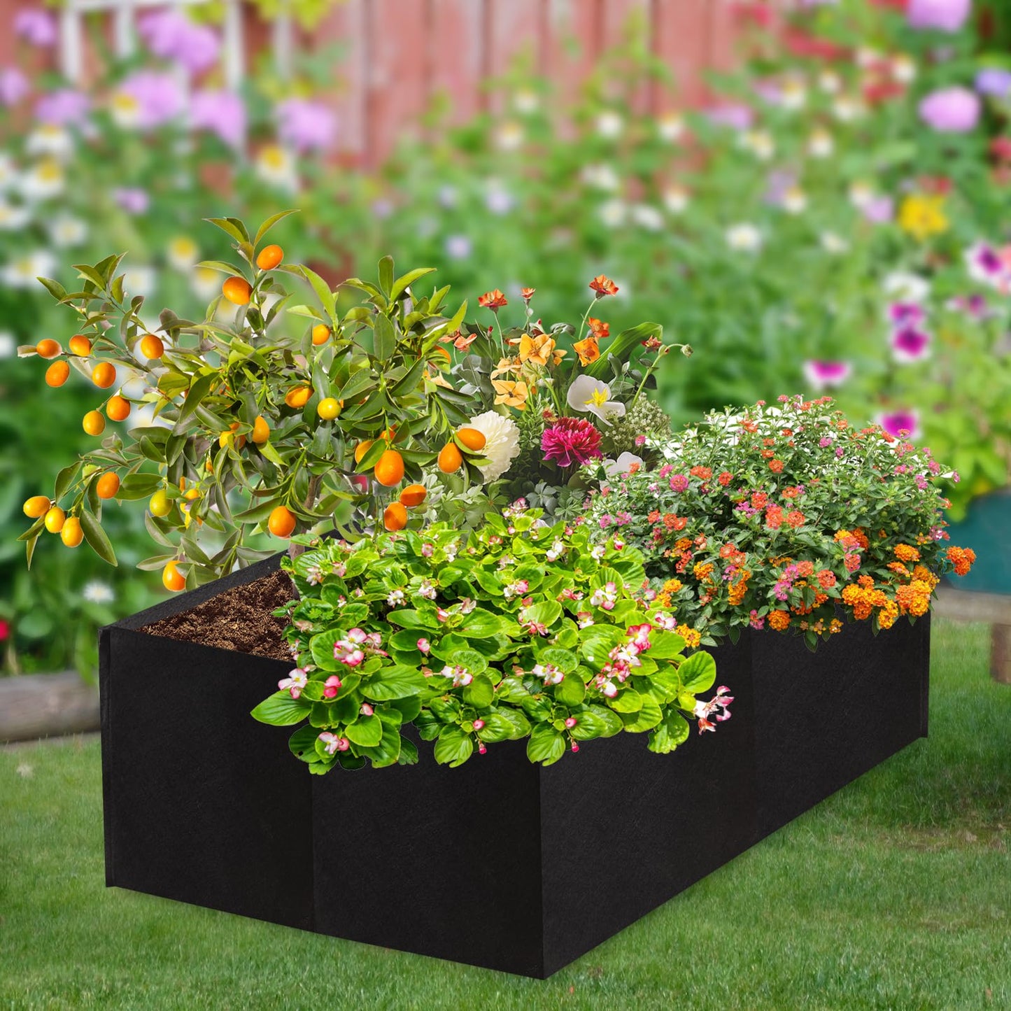 Encooldesty 2 Pack 2x2x1Ft 30 Gallons Fabric Raised Garden Bed,Garden Grow Bed,Raised Beds for Gardening,Raised Garden Beds Outdoor for Potato,Tomato,Vegetable and Fruits