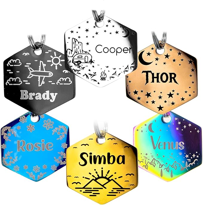 Personalized Dog Tag with 5 Lines of Custom Deep Engraved Durable Stainless Steel Pet ID Name Tag Designer Small Size Bone