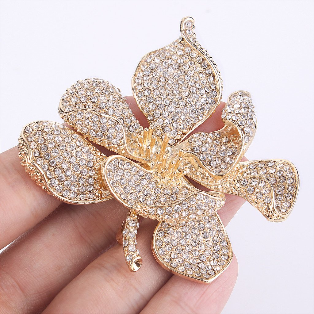 EVER FAITH Women's Austrian Crystal Orchid Flower Petal Brooch Clear Gold-Tone
