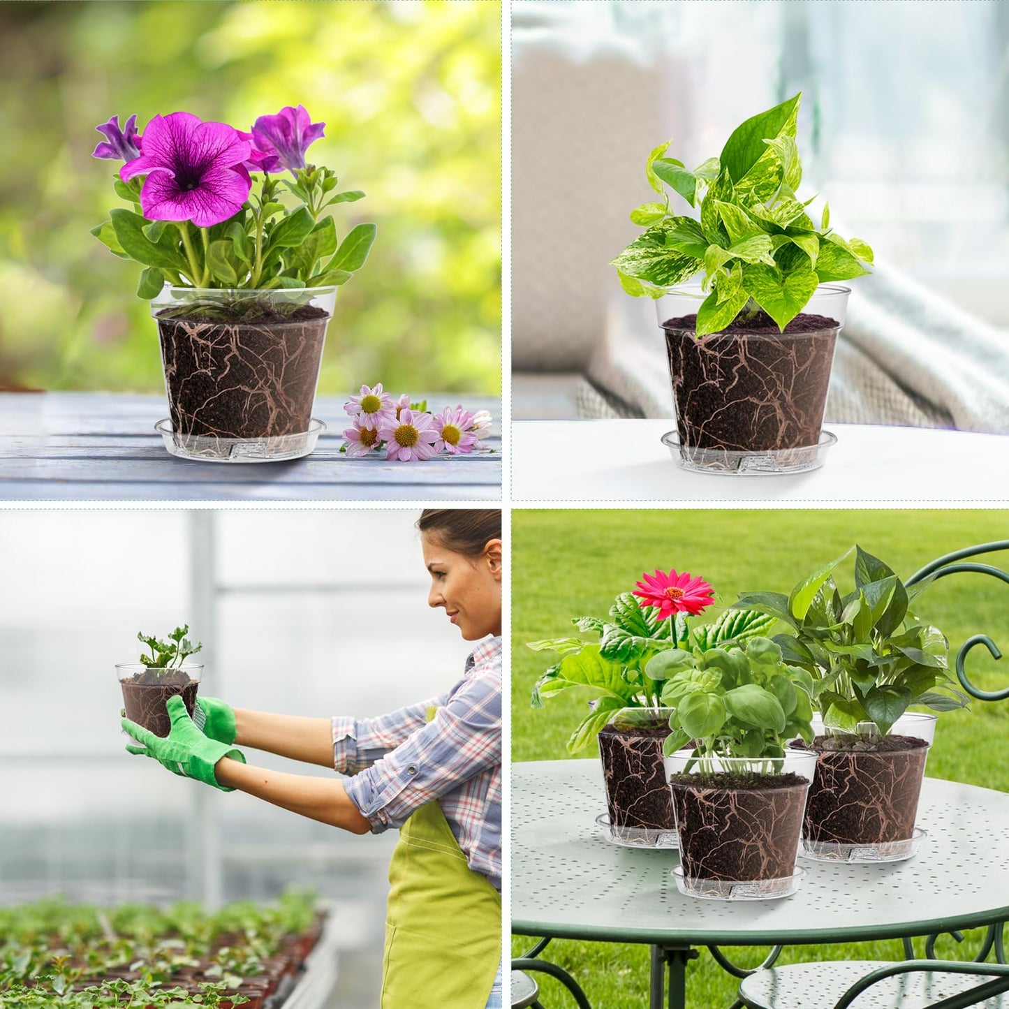 WSMKSZ 3 Inch Clear Nursery Pots, 30 Pack Highly Transparent Plastic Seedling Starter Planters with Drainage Holes and Trays for Flowers, Small Plant Pots for Indoor Plants