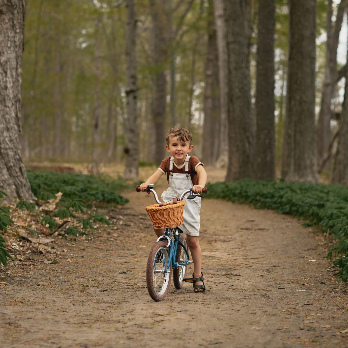Retrospec Beaumont Mini 16in Kids Bike with Training Wheels & Basket - Beginner Bicycle for 4-6 Year Olds, Low-Profile Frame, V-Brakes & Safety Bell