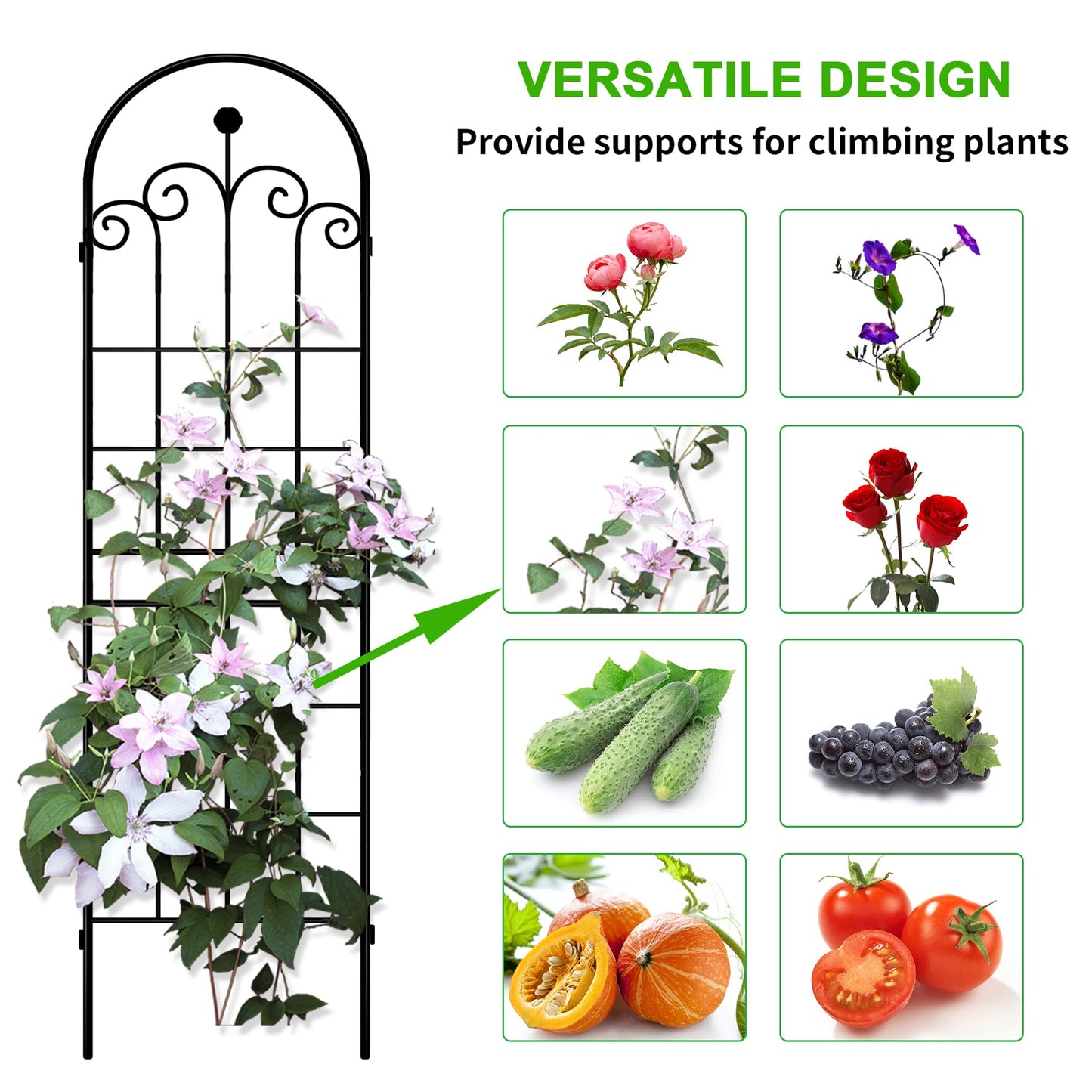 LZRS 2 Pack 71x20in Rustic Iron Arch Decoration Garden Trellis with Black Metal Coating – Perfect for Supporting Climbing Plants Outdoor, Roses, Vines, Flowers, and Vegetables.