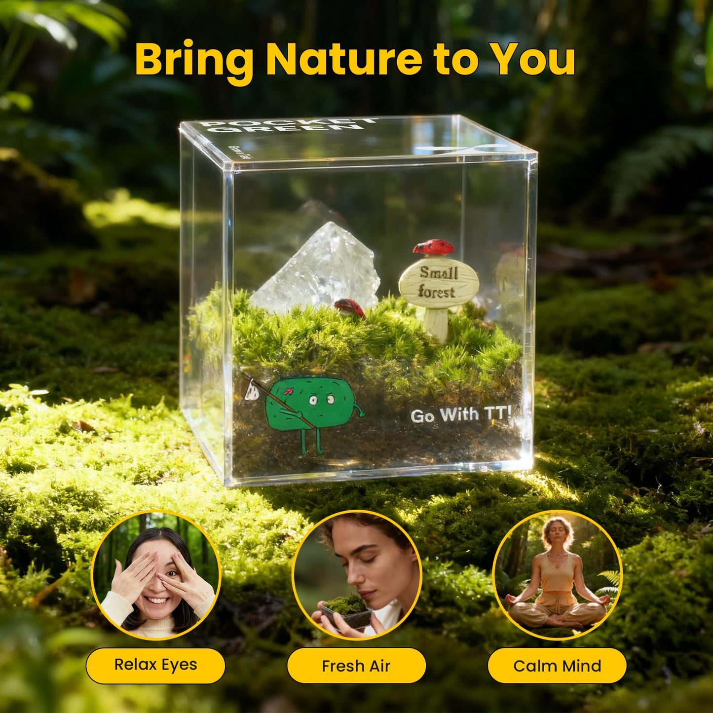DIY Moss Terrarium Kit, 4 * 4 * 4 inch Acrylic Cube Mini Garden with Live Star Moss, Soil, Boundless Fortune-Craft Kit for Adults and Teens, Relaxing Desk Decor & Unique Gift for Home or Office