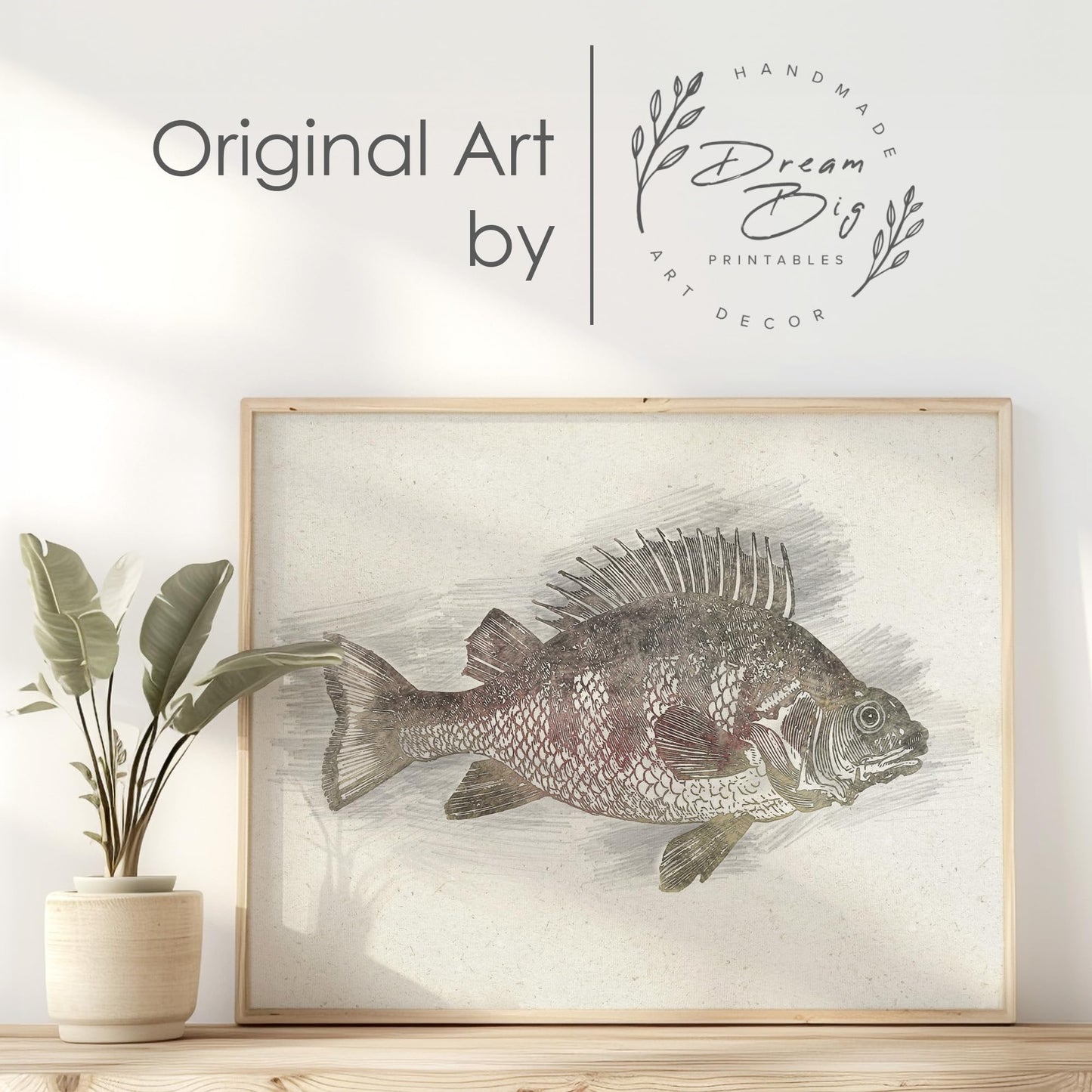 DREAM BIG PRINTABLES Fish Sketches Art Prints (Set of 6) - Unframed - 8x10 | Fishing Wall Decor for Fisherman