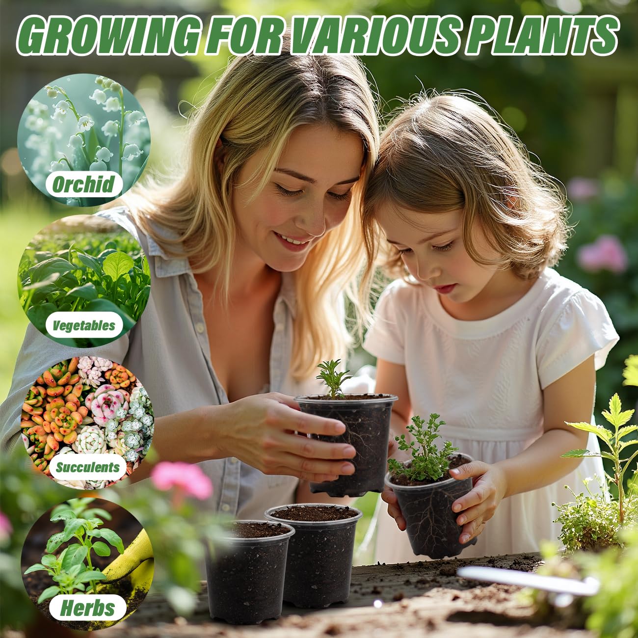 RooTrimmer 3.5" Clear Seeding Pots 100-Pack Round for Seeds Starter Pots, Seeds Germination Transparent Nursery Pots with Drainage Holes (100PCS)