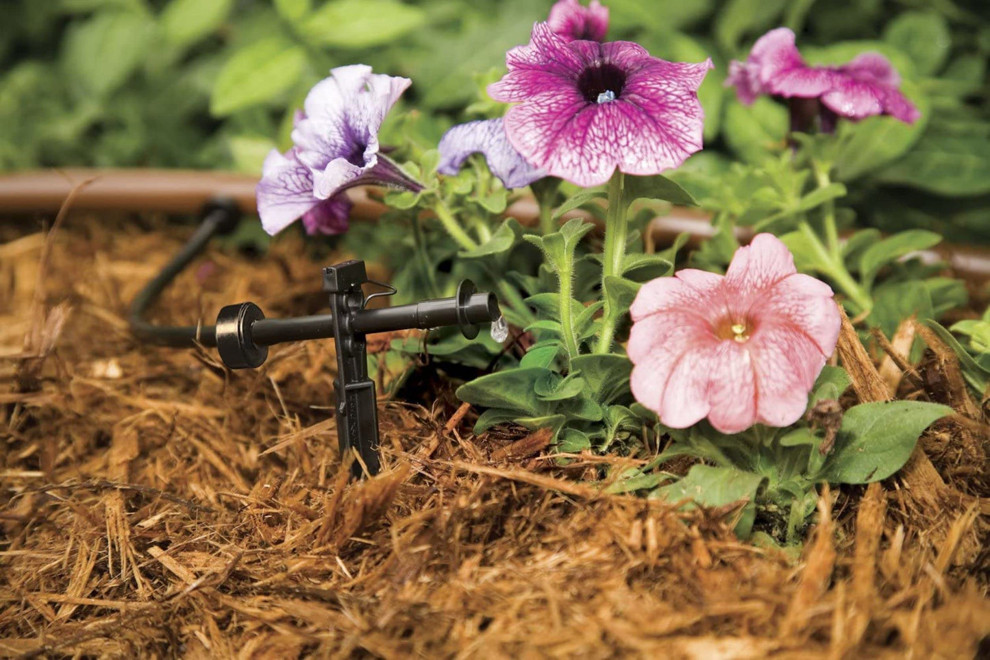 Rain Bird SW10-30PS Drip Irrigation Spot Watering Dripper/Emitter,1 Gallon Per Hour,(Pack of 300)