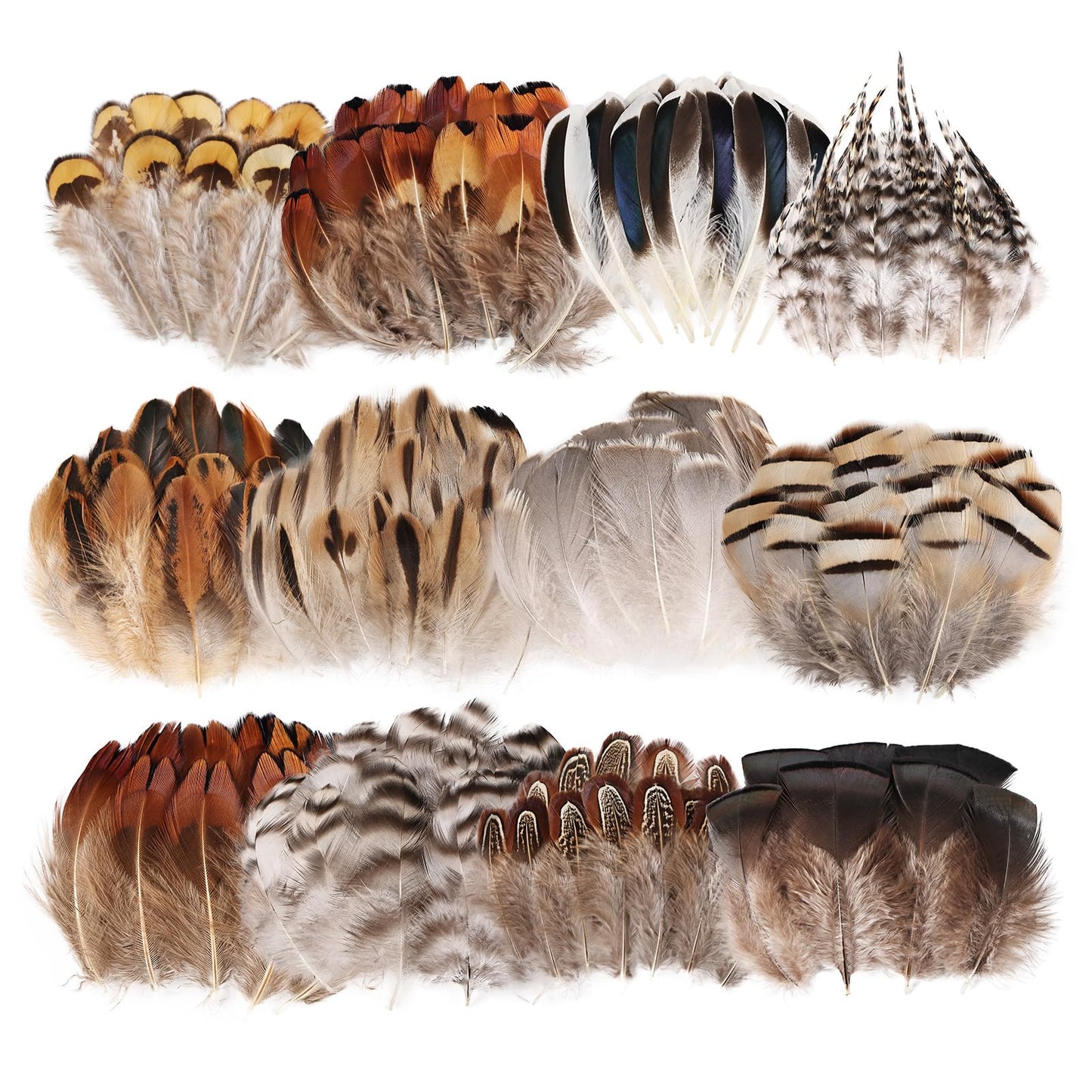 Natural Feathers Bulk -360PCS - 12 Styles Assorted Small Natural Feathers, Peacock Feathers, Pheasant Feathers, Turkey Feathers for DIY Crafts, Wedding, Crafting Supplies