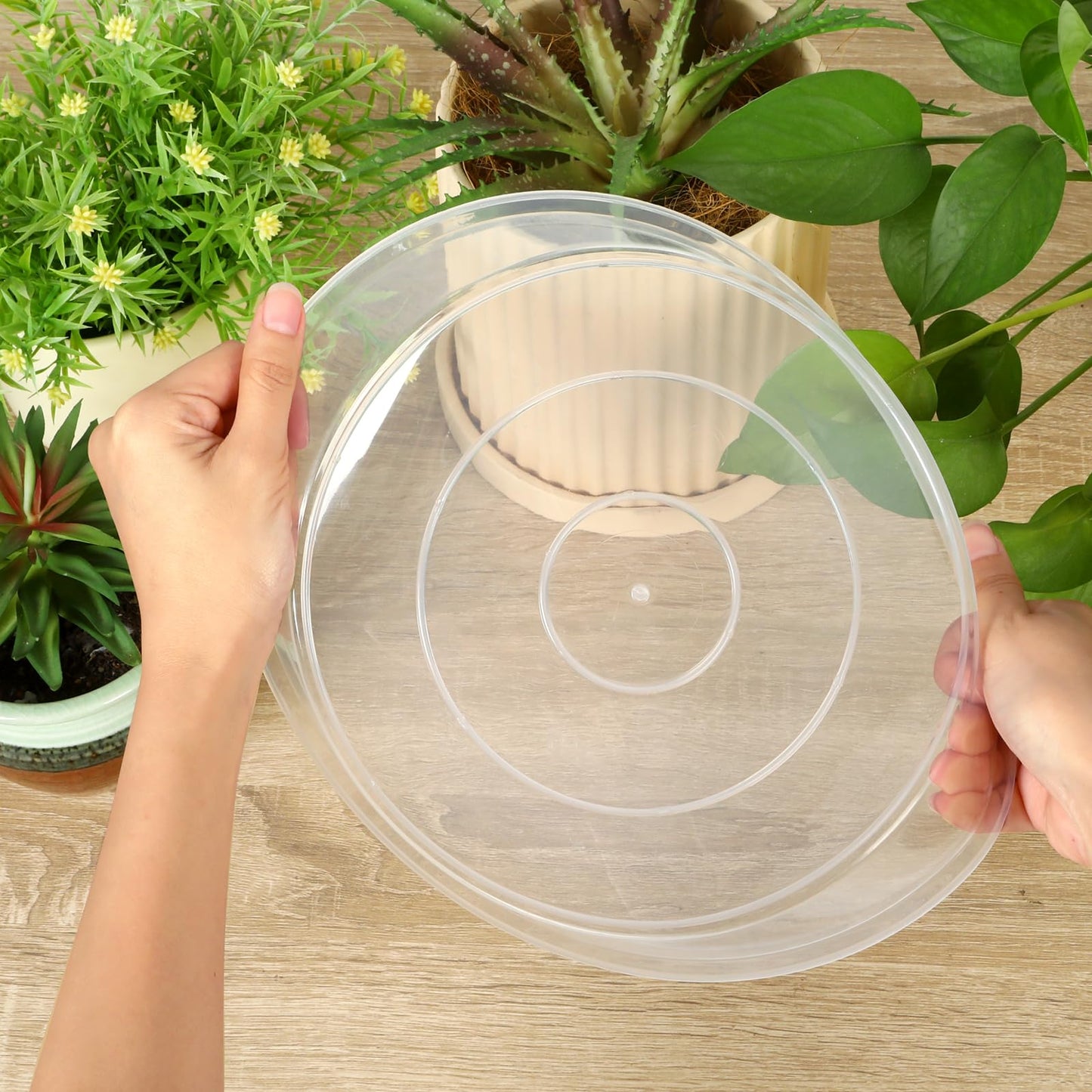 HQAUT 4 6 8 10 12 14 16 18 20 22 Inch Clear Plant Saucer, 5 Pack Durable Plastic Water Catcher Trays for Flower Pots, Plant Drip Trays for Indoor Outdoor Planter(14inch)