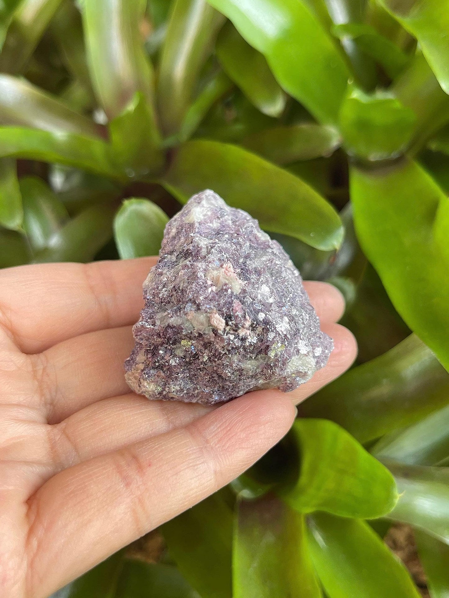 GAF TREASURES Wholesale Raw Lepidolite Crystals, Natural Lepidolite Stone, Natural Rough Lepidolite Crystals, Lepidolite Rough, Lepidolite Healing Crystals (Lepidolite, 0.5 Pound)