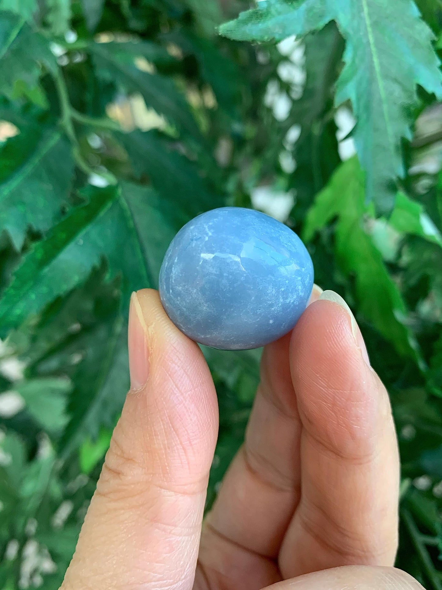 GAF TREASURES 5 Pcs Angelite Tumbled Stones, Polished Angelite Gemstone, Angelite Healing Crystals (Angelite)