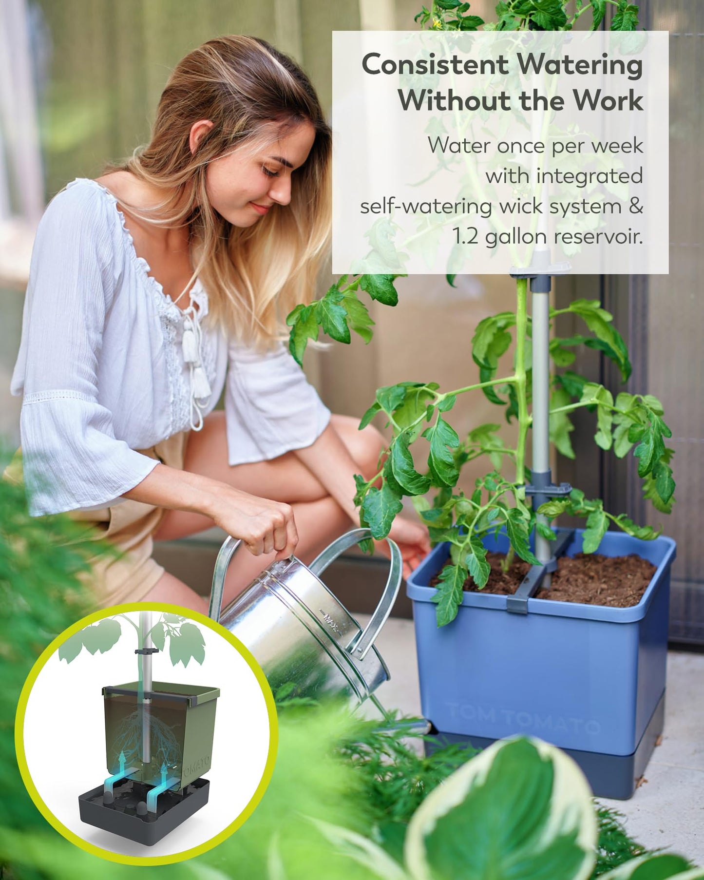 BUZZY Seeds Self-Watering Vertical Tomato Planter with Trellis – 1.2 Gal Reservoir, Large Capacity Planter for Tomatoes & Climbing Plants (Blue)