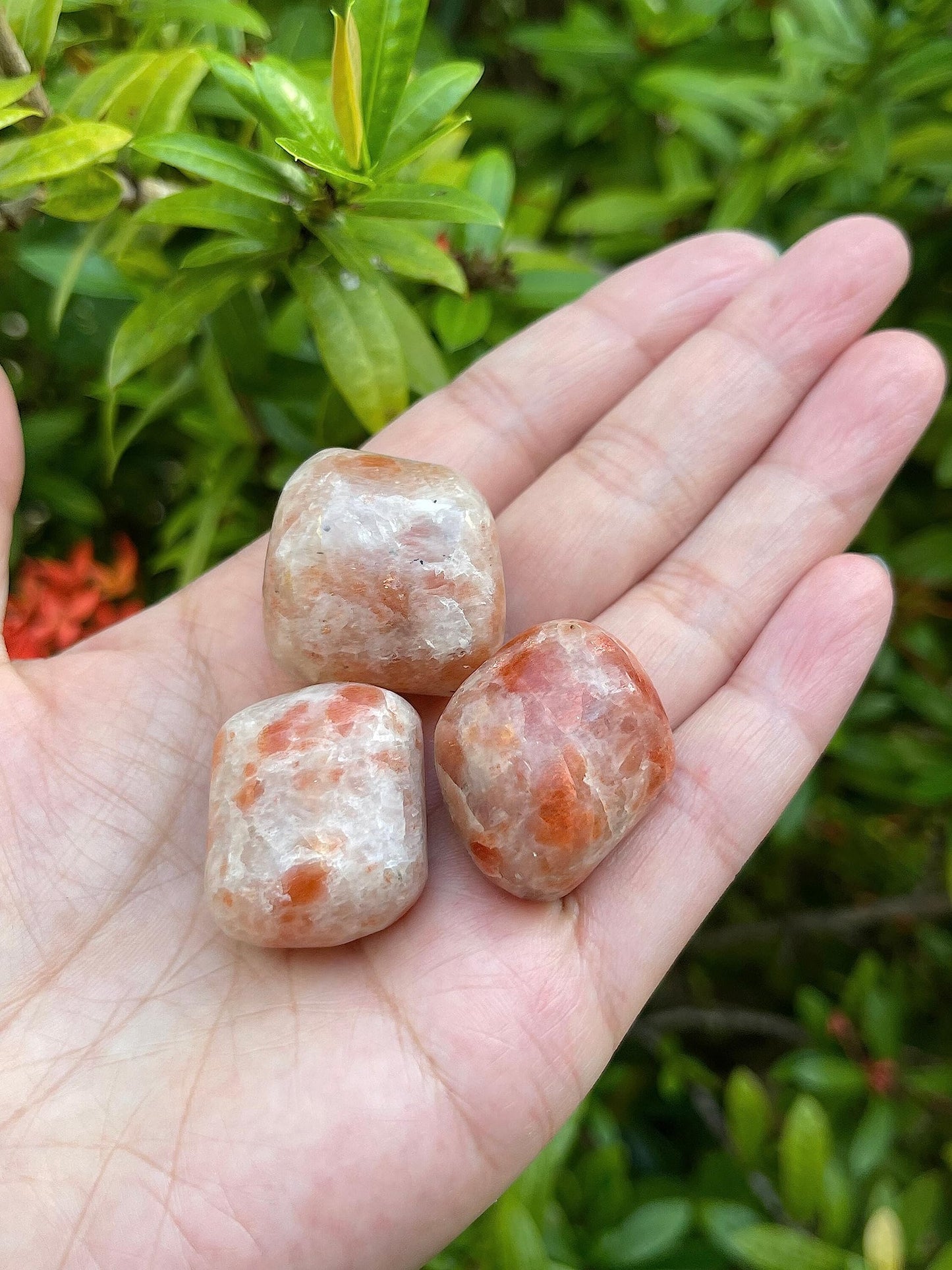 GAF TREASURES 5 Pcs Sunstone Tumbled Stones, Polished Sunstone Gemstone, Sunstone Healing Crystals (Sunstone)