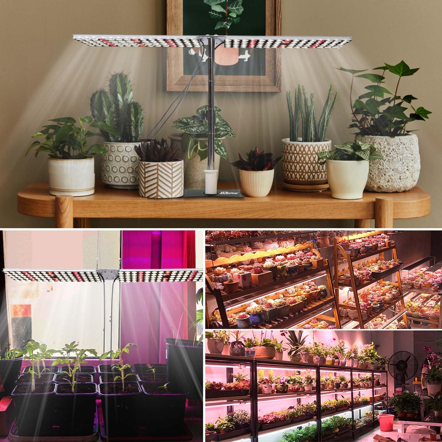 JCBritw 100W LED Grow Light Panel，Adjustable Free Standing Plant Light, White with IR Full Spectrum Grow Lamp on Stand for Indoor Plants Seed Starting, Seedlings, Veg, Flower