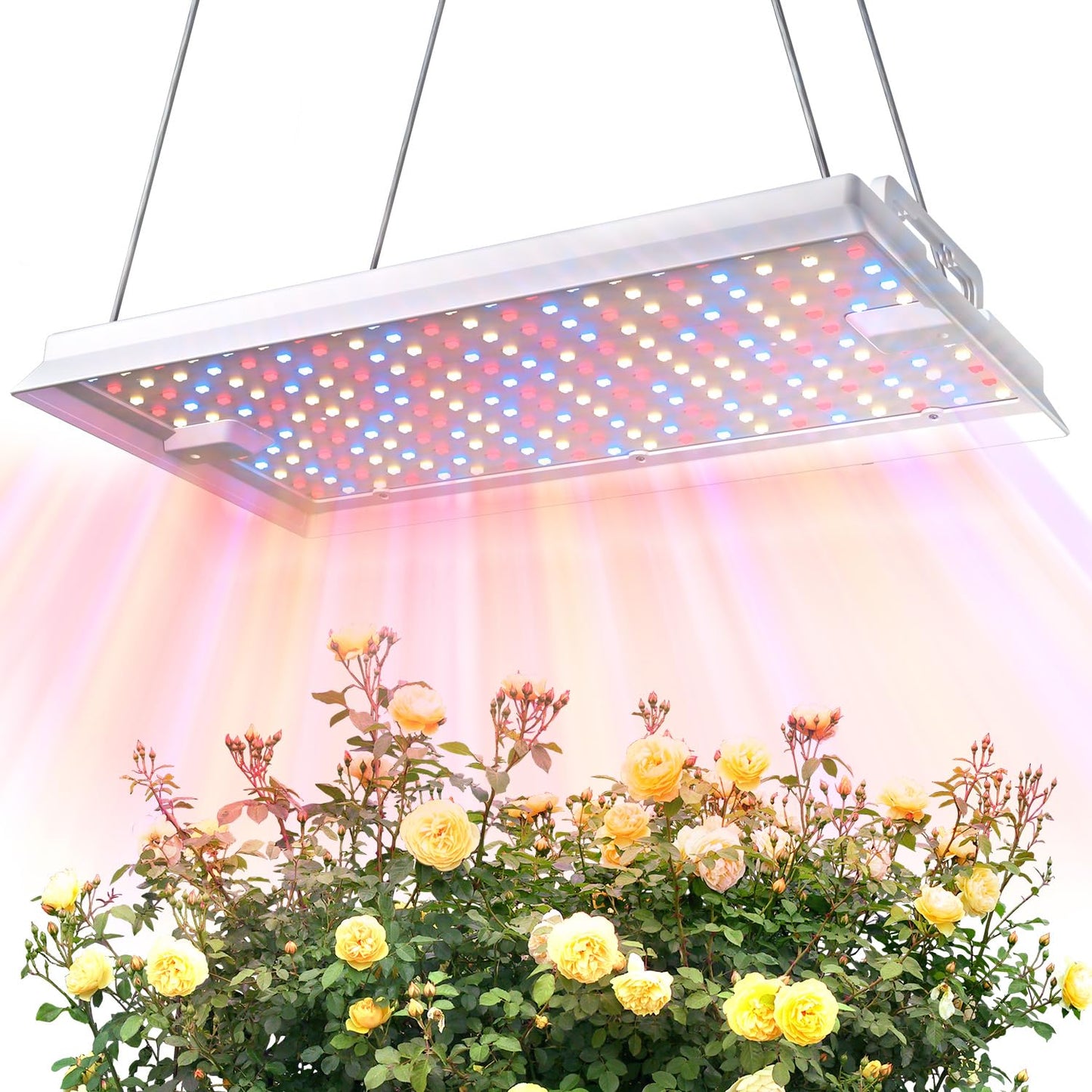 MetryGrow Plant Grow Light, [Smart APP & Expansive 2x3 Ft Coverage] Genuine 100W Output LED Full Spectrum for Indoor Plants, 8-Level Brightness, Hanging Use with Remote Control（Hanging Use）
