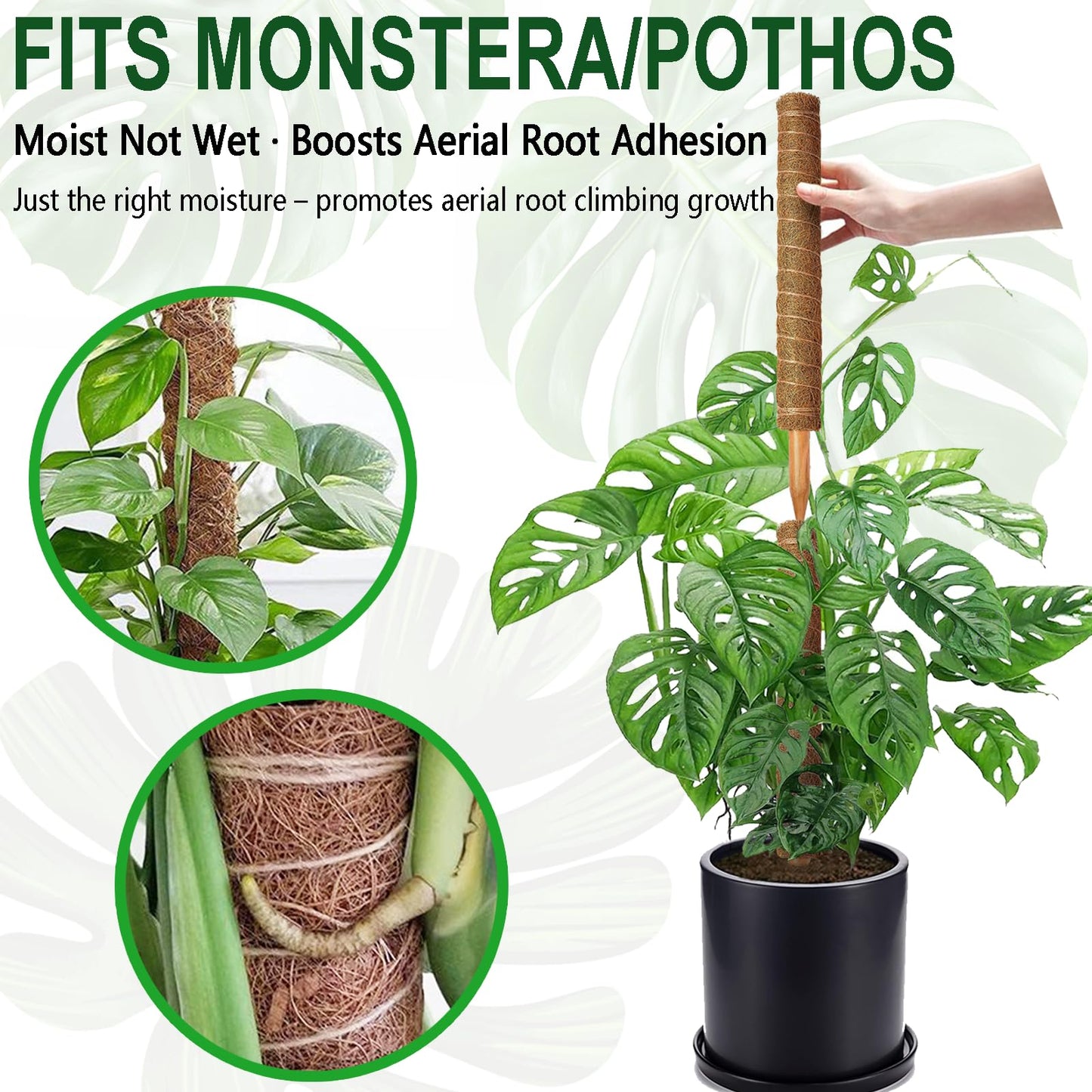 Soupiar 4 Pack 22 Inch Stackable Moss Pole - Thick & Sturdy Natural Coir Totem Plant Support & Garden Stakes for Monstera & Pothos, Indoor Climbing Vining Houseplants, 70" H Max