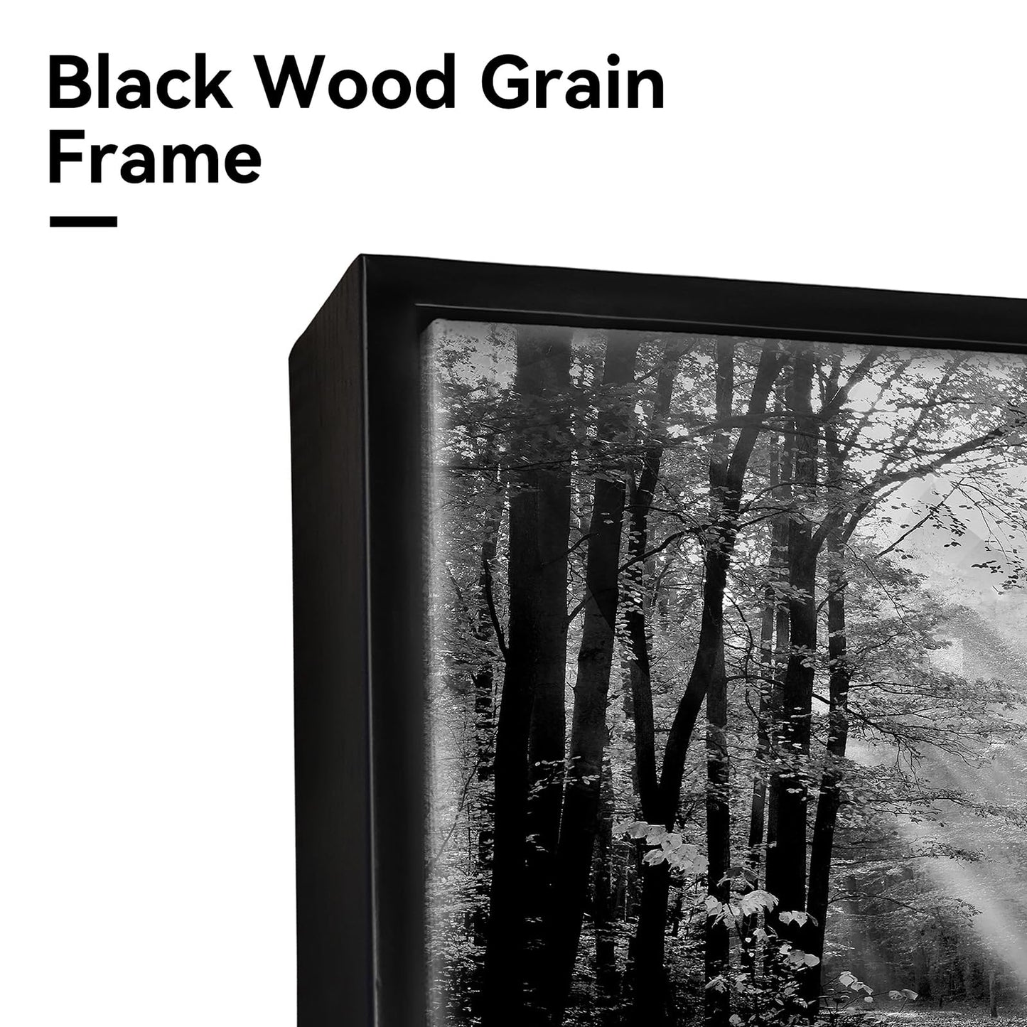 Black White Forest Wall Art - Sunset Landscape Framed Canvas Picture Woodland Painting Nature Tree Scenery Artwork Prints for Bedroom Living Room