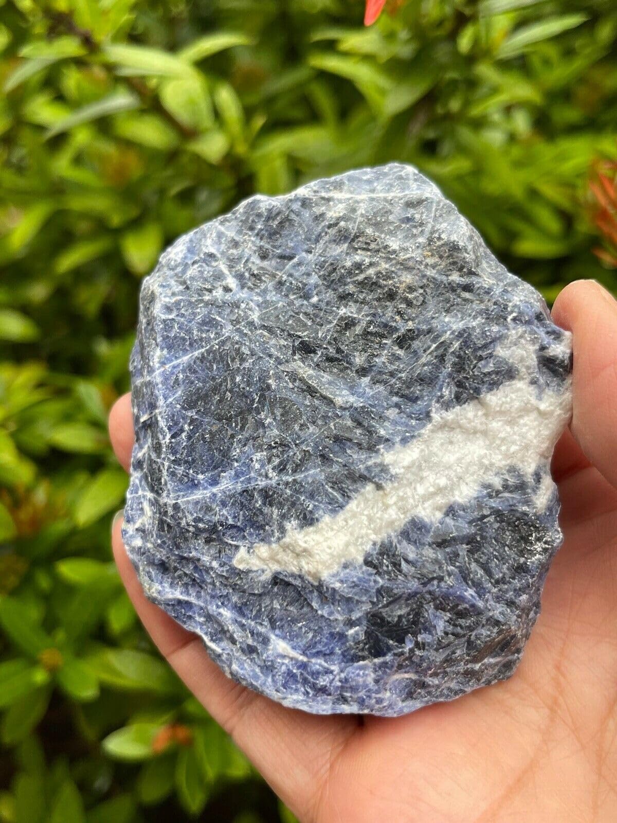 GAF TREASURES XL Raw Sodalite, 3-4" Natural Rough Sodalite, Sodalite Healing Rough Crystal (Sodalite, 0.5-1 lb)