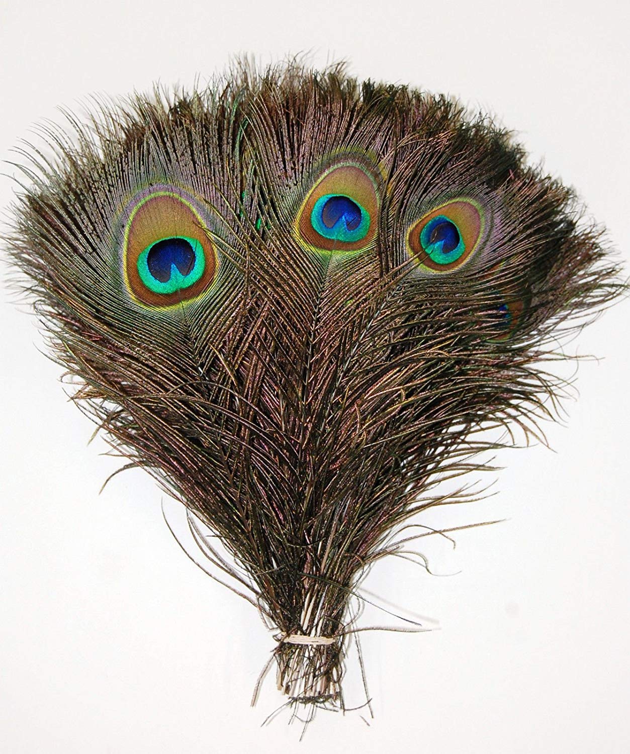 50 Pcs Natural Peacock Feathers : Various Sizes (10-12”)