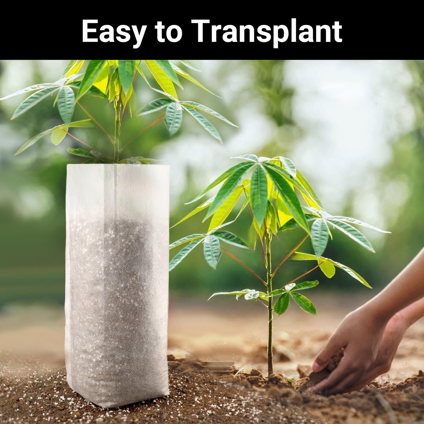 ENPOINT Fabric Grow Bags - 7.87x13.77 inches Breathable Seed Starter Plant Grow Bags for Seedling Pots, Nursery Pots for Plants, 50pcs