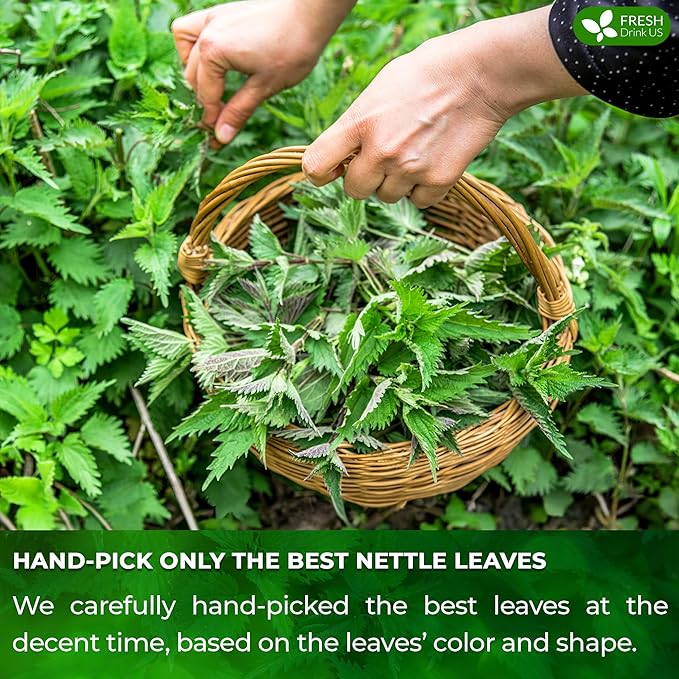 FreshDrinkUS, Premium 135 Nettle Leaf Tea Bags, 100% Natural & Pure, Stinging Nettle Leaf Tea, Burn Nettle, Stinging Nettle, Stinger Tea, No Sugar/Caffeine/Gluten, Vegan