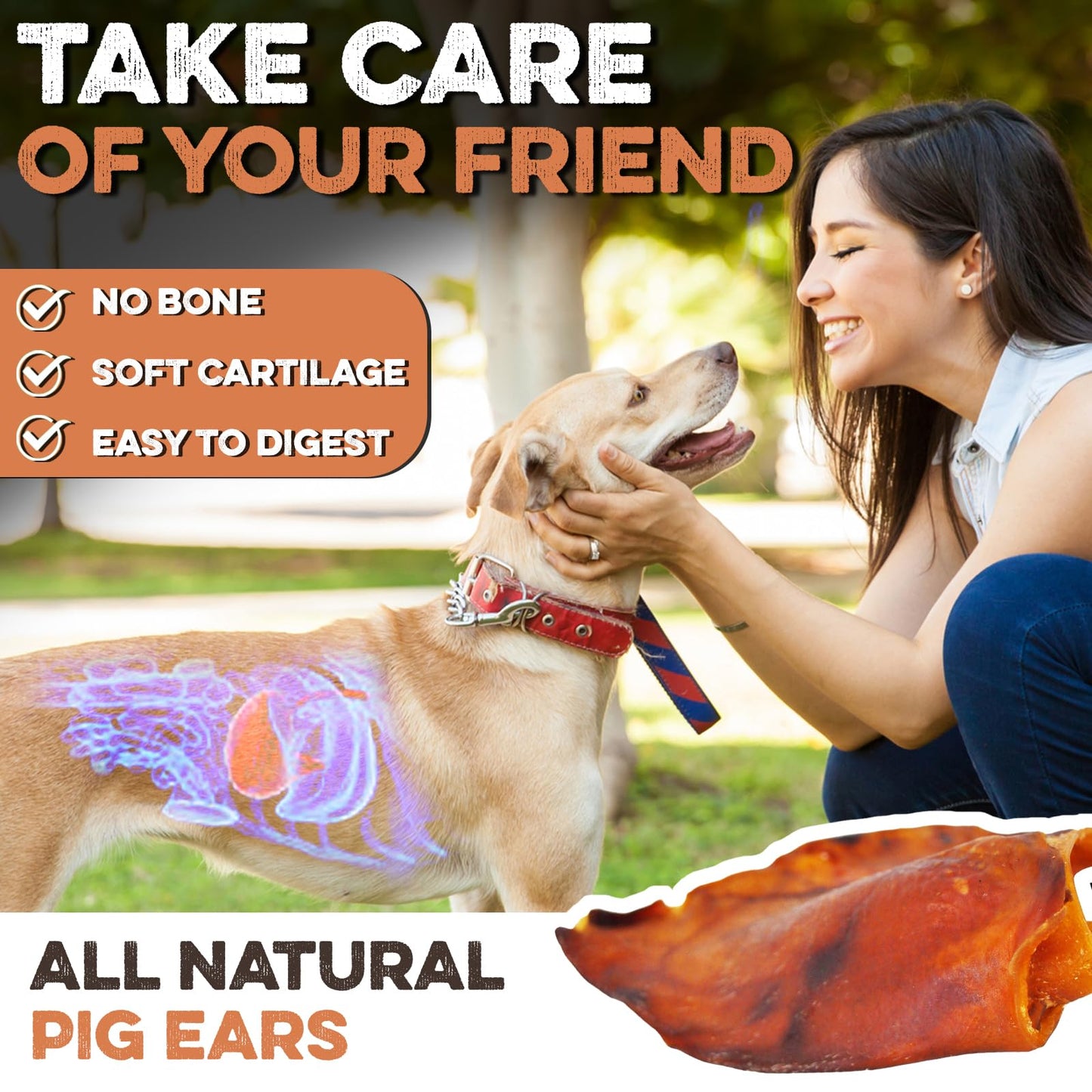 BRUTUS & BARNABY Whole Pig Ears for Dogs, 12 Ct. – All-Natural Single Ingredient Dog Chews, Slow Cooked & Fully Digestible Rawhide Alternative