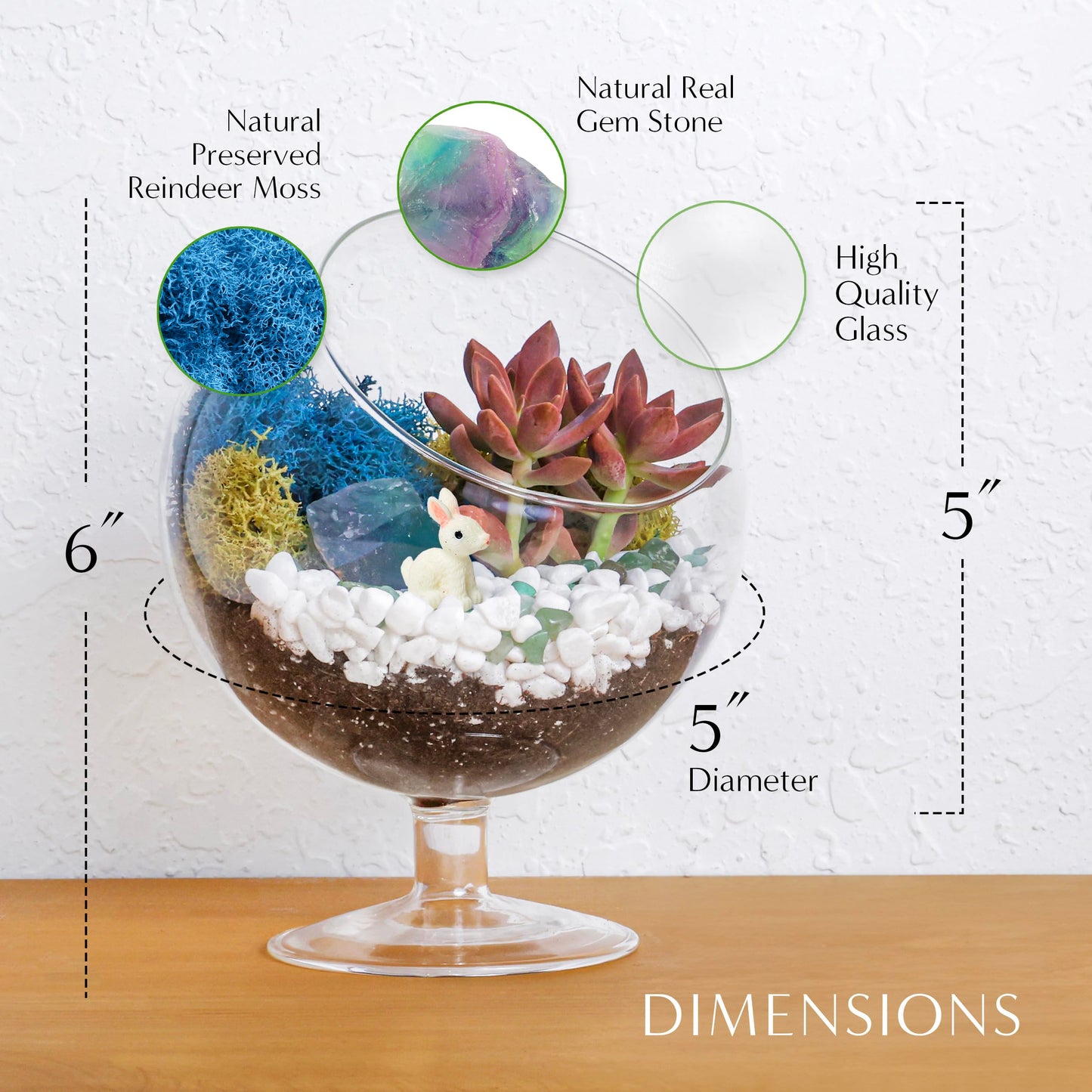 Creations by Nathalie DIY 6" DIY Chalice Terrarium Kit - Build Your Own Glass Terrarium for Adults & Teens with Moss, Crystals, Tools & Decorative Figurine - Mini Ecosystem (Plant Not Included)