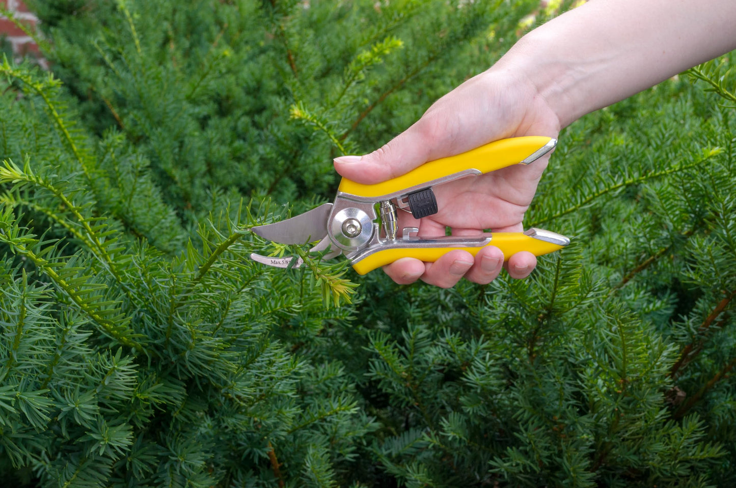 Dramm ColorPoint Stainless Steel Compact Garden Pruning Shears, Hand Pruner, Garden Clippers, with Heavy Duty Blade and Easy grip Handle, Berry