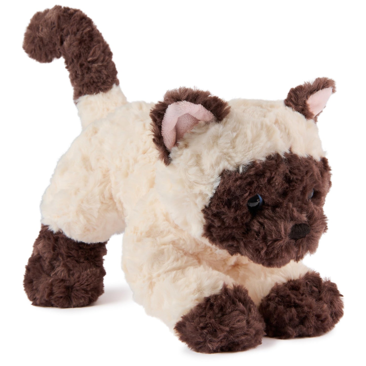 GUND Bootsie Siamese Kitten Plush Toy, Premium Cat Stuffed Animal for Ages 0 and Up, Cream/Brown, 9”