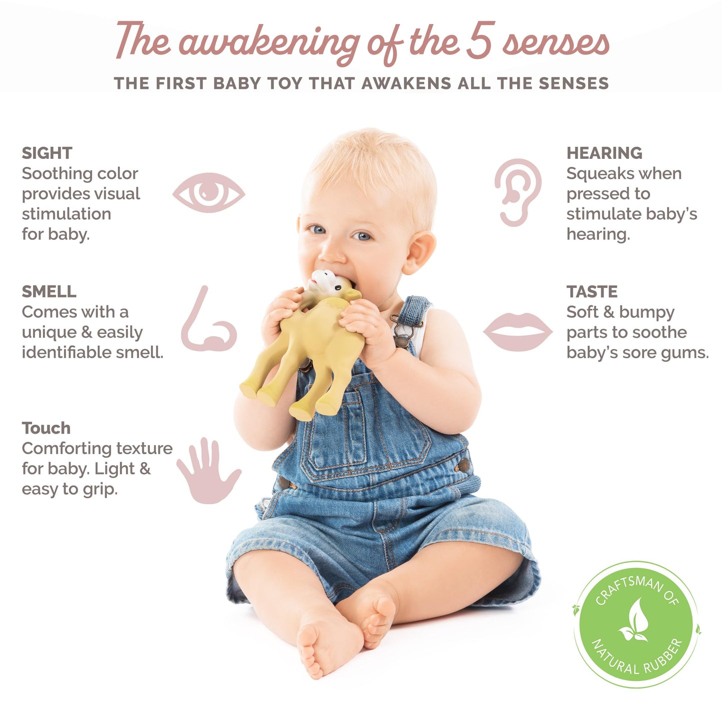 Sophie la girafe Al'Thir The Camel | Teether Friend to Sophie la girafe | Natural Rubber | Designed for Teething Babies | Awaken All 5 Senses | Easy to Clean