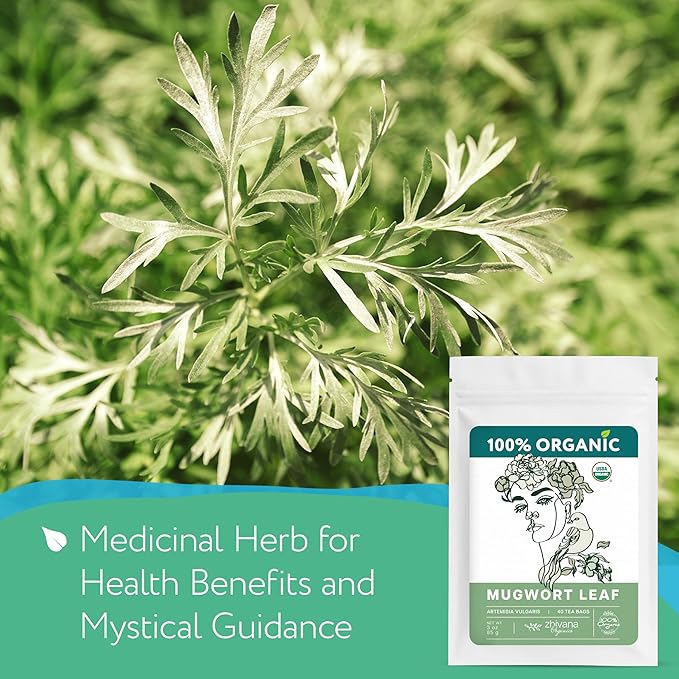 Organic Mugwort Tea (40 Tea Bags) – Mugwart Tea for Digestive Health, Liver, Women Cycle, Relaxation (Artemisia Vulgaris) - Te de Artemisa