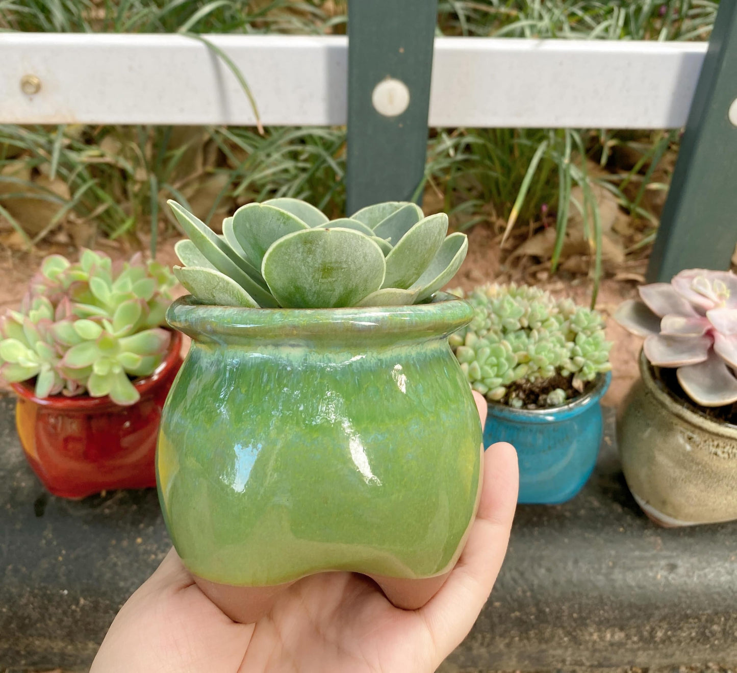 Casktcom 4PCS Handcraft Glazed Succulent Planters，Small Ceramic Succulent Pots with Drainage，Small Pots for Succulents - Mix Color Set