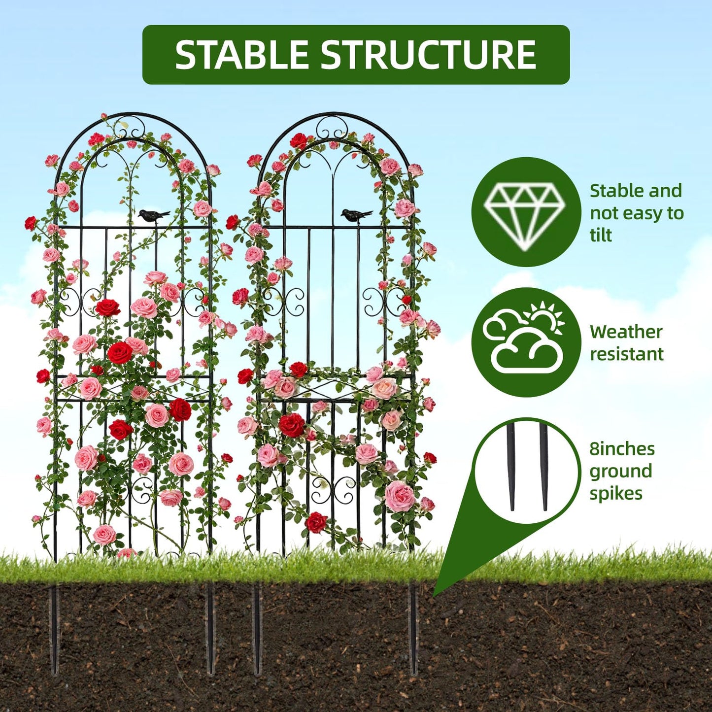 Amoskey 2 Pack 71x20in Durable Garden Trellis for Climbing Plants - Outdoor Trellis Supports for Lush Greenery - Ideal for Vines, Flowers, and Vegetables, Easy Installation & Space-Saving Design