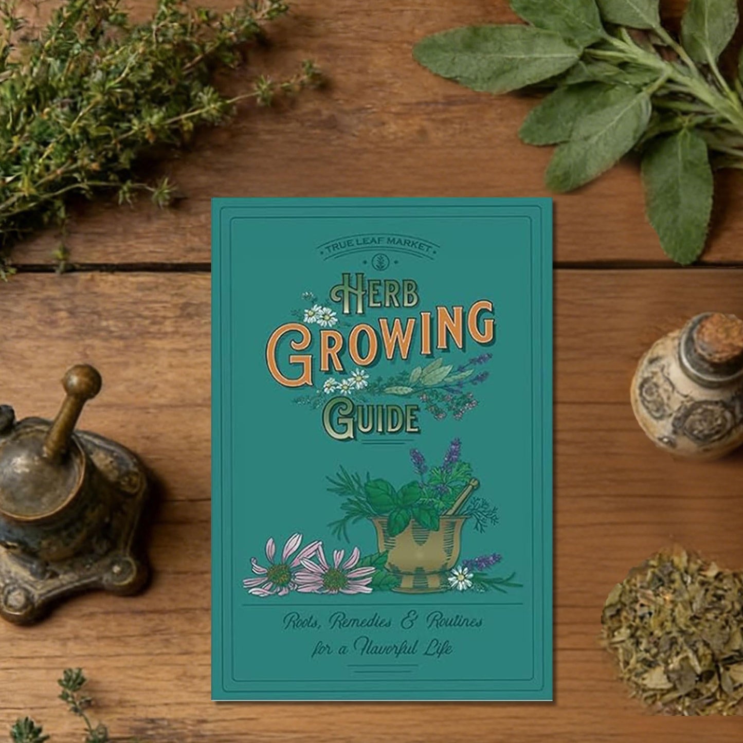 Meekear 5 Herb Indoor Starter Kit, Complete Planting Set for Kitchen Herb Garden DIY & Gift