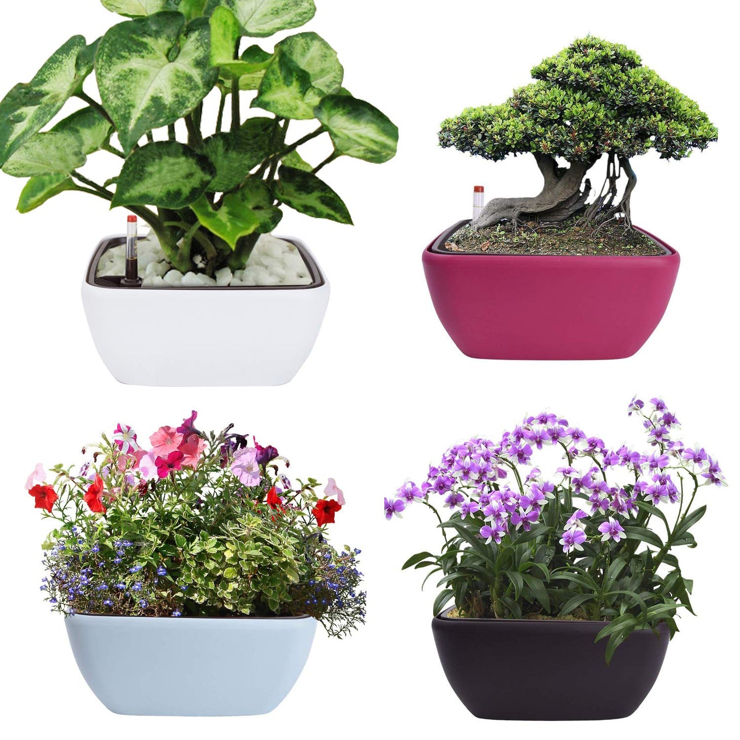 Vencer 10.8 Inch Plastic Square Self Watering Planter,Water Indicator,Modern Decorative Planter Pot for All House Plants Flowers,Herbs,Vegetables,Tropical,Blue,VF-049B