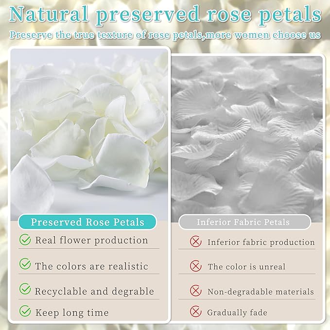 Real Ivory Rose Petals, Frozen Preserved Petals for, Wedding Party Decorations, Dried Flower Confetti, Table Centerpieces, Bridal Shower, 3.17 oz (90 g)
