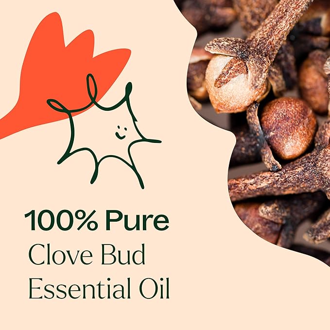 Plant Therapy Clove Bud Essential Oil 100% Pure, Undiluted, Natural Aromatherapy, Therapeutic Grade 10 mL (1/3 oz)