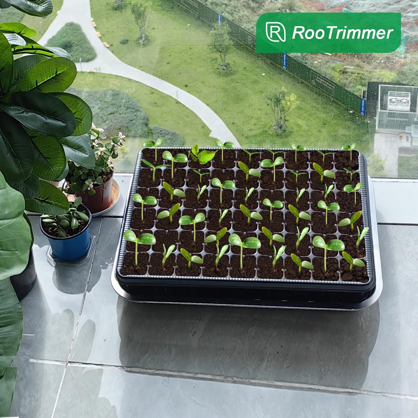 RooTrimmer 54 Cell Seed Starter Trays, 2.8" Deep Plug Tray Seedling for TD377 Nursery Tray, Super Thick Reusable Trays for Easy Transplantation (11.14inch ×14.6 inch, 5-Pack)