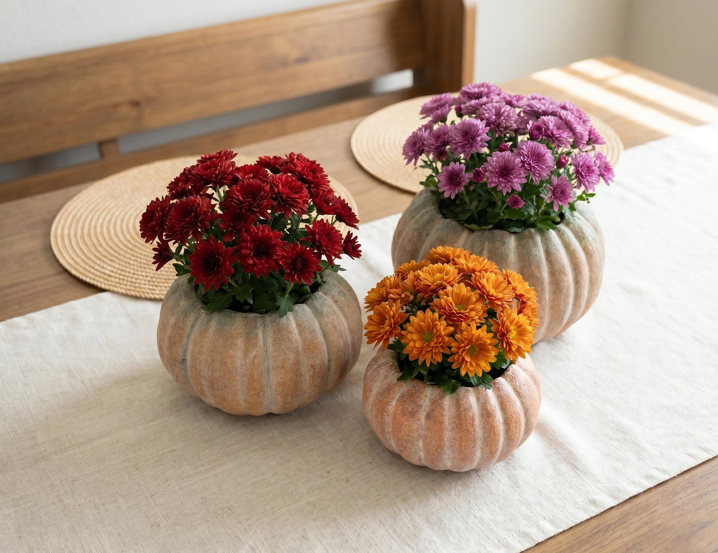 Abbott Collection Low Cement Pumpkin Indoor and Outdoor Planter Pot (4" H, 4.5" Opening)