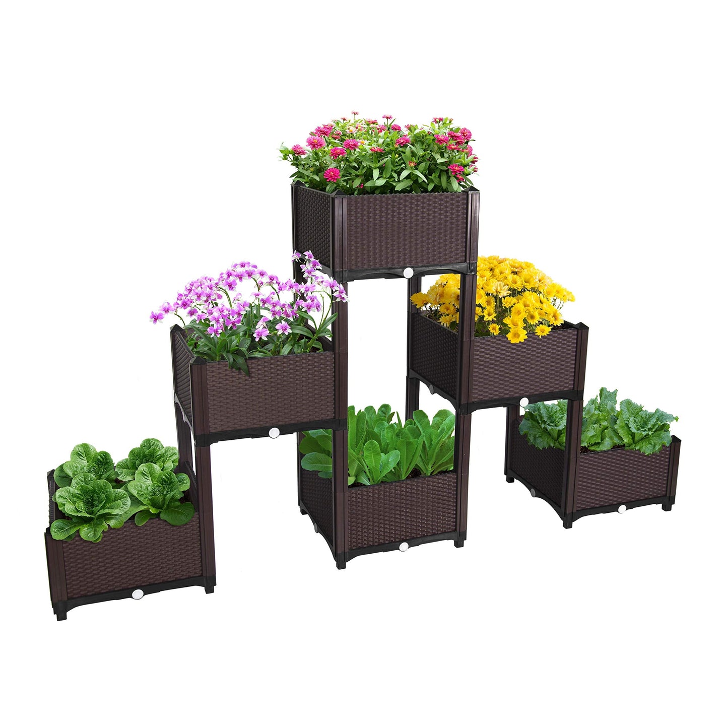 D'vine Dev Planter Raised Beds - Elevated Garden Box with Drainage Plug Raised Garden Beds for Vegetable/Flower/Herb Outdoor Standing Beds Gardening Kit, RGB-6