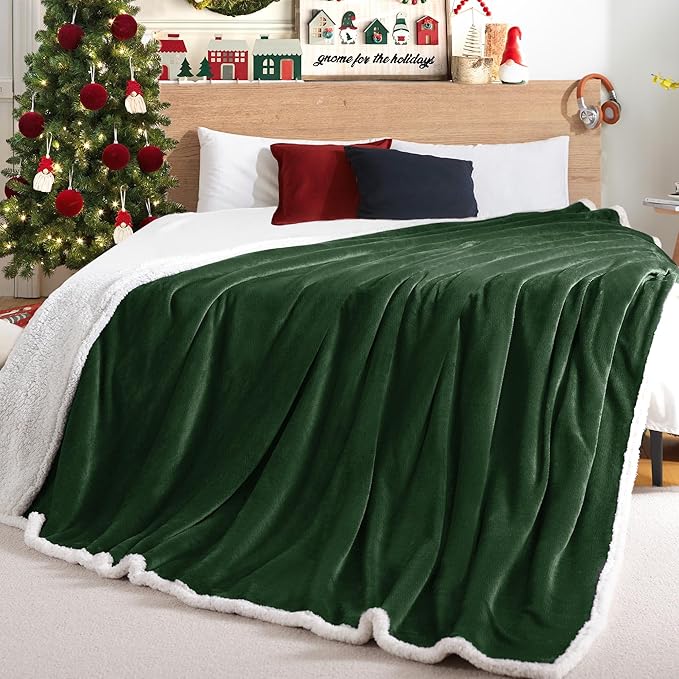 BEAUTEX Sherpa Fleece Throw Blankets, Soft Fluffy Flannel Plush Blanket and Throw, Fuzzy Cozy Green Cuddle Blankets for Couch Bed Sofa Adults (50" x 60", SageGreen)