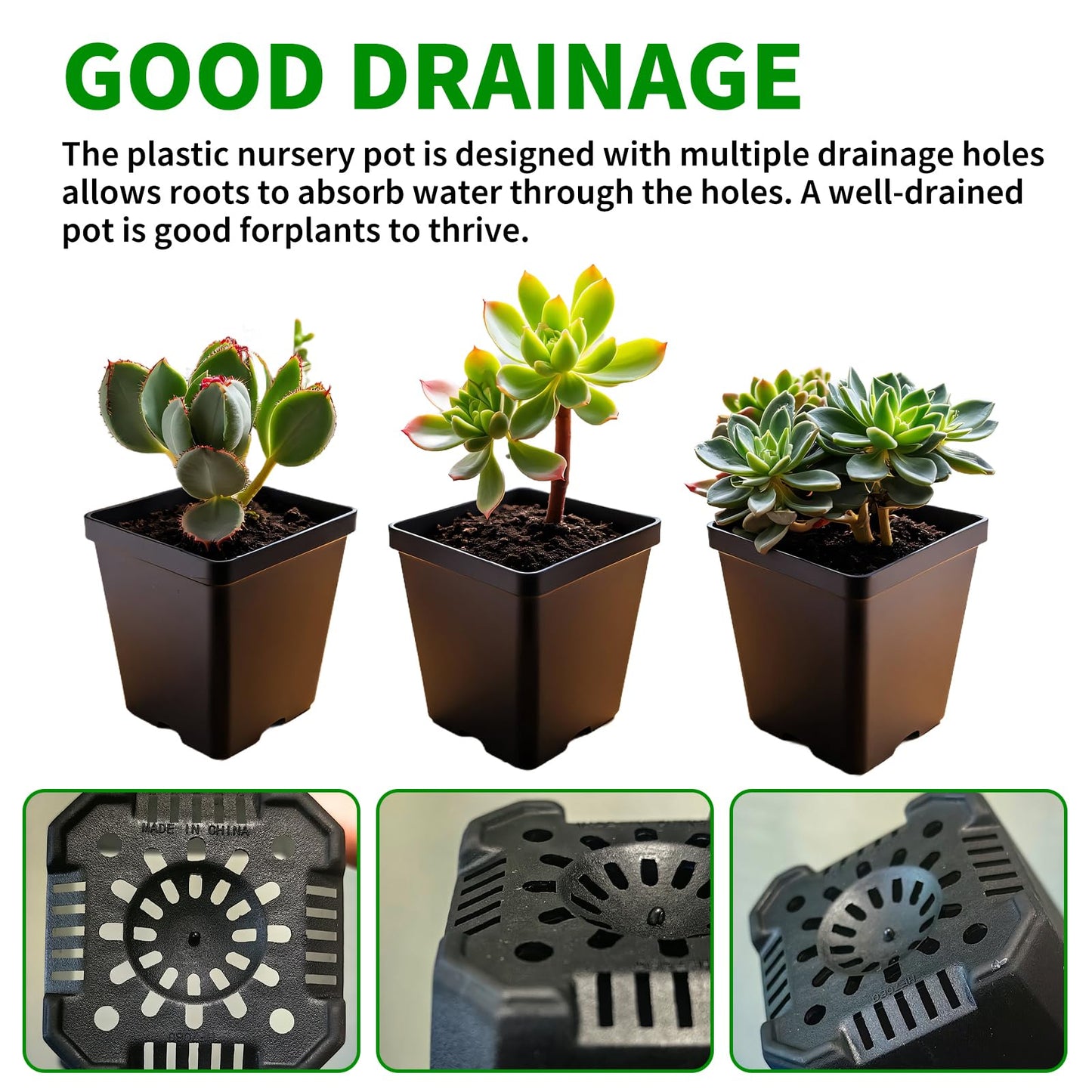 XCRUI Square Nursery Pots 60Pcs 3" Deep Succulent Plastic Pots Small Flower Planter Seeds Starter Germination Pots for Plants, Succulent, Flower