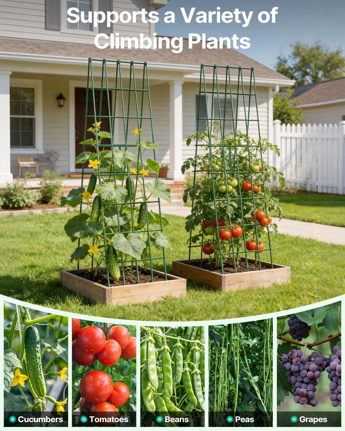 Suteck A-Frame Cucumber Trellis 59.4" 2 Pack - Metal Garden Trellis for Cucumbers, Peas, Beans & Climbing Plants, Foldable Outdoor & Indoor Vegetable Support for Raised Beds, Patios & Backyard