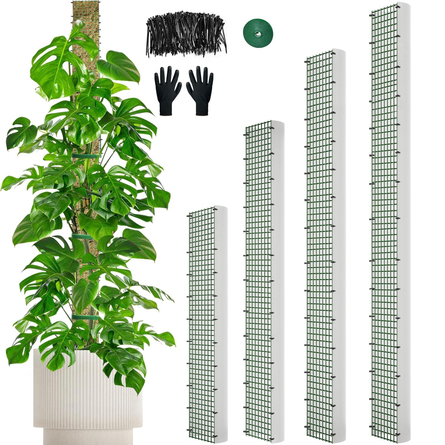 70"/60"/40"/24" Metal Moss Pole, D Shape Sphagnum Moss Pole, Moss Poles for Climbing Plants, Monstera, Indoor Climbing Plants (1 Each of 70" 60" 40" 24")