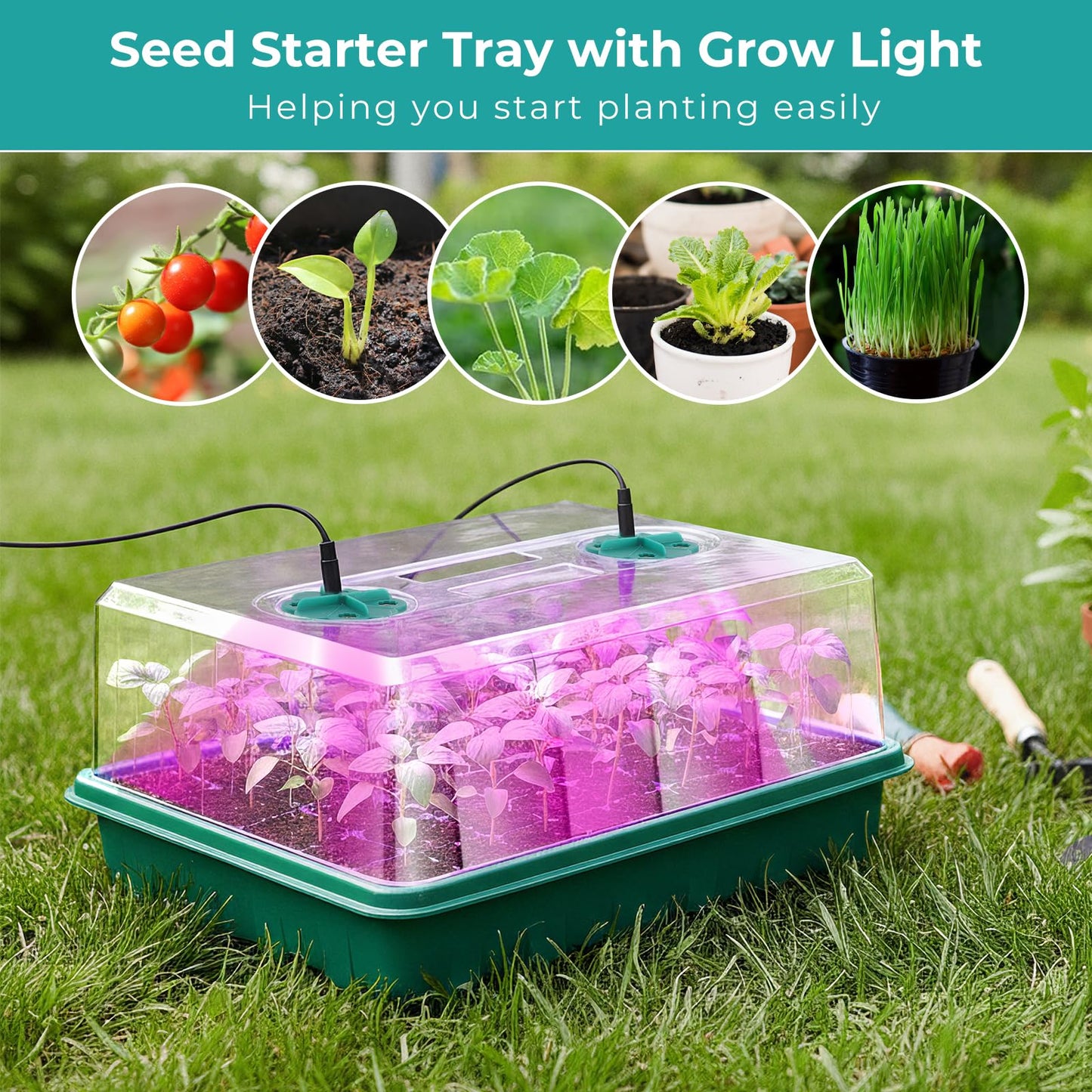 Hanaoyo 96 Cells Seed Starter Tray with Lights, 2 Packs Seed Starter Kit with Humidity Vented Domes and High Lid, Adjustable Brightness Germination Kit for Indoor Greenhouse Seed Starter