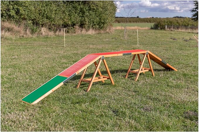 Trixie Agility Dog Walk with Contact Zones