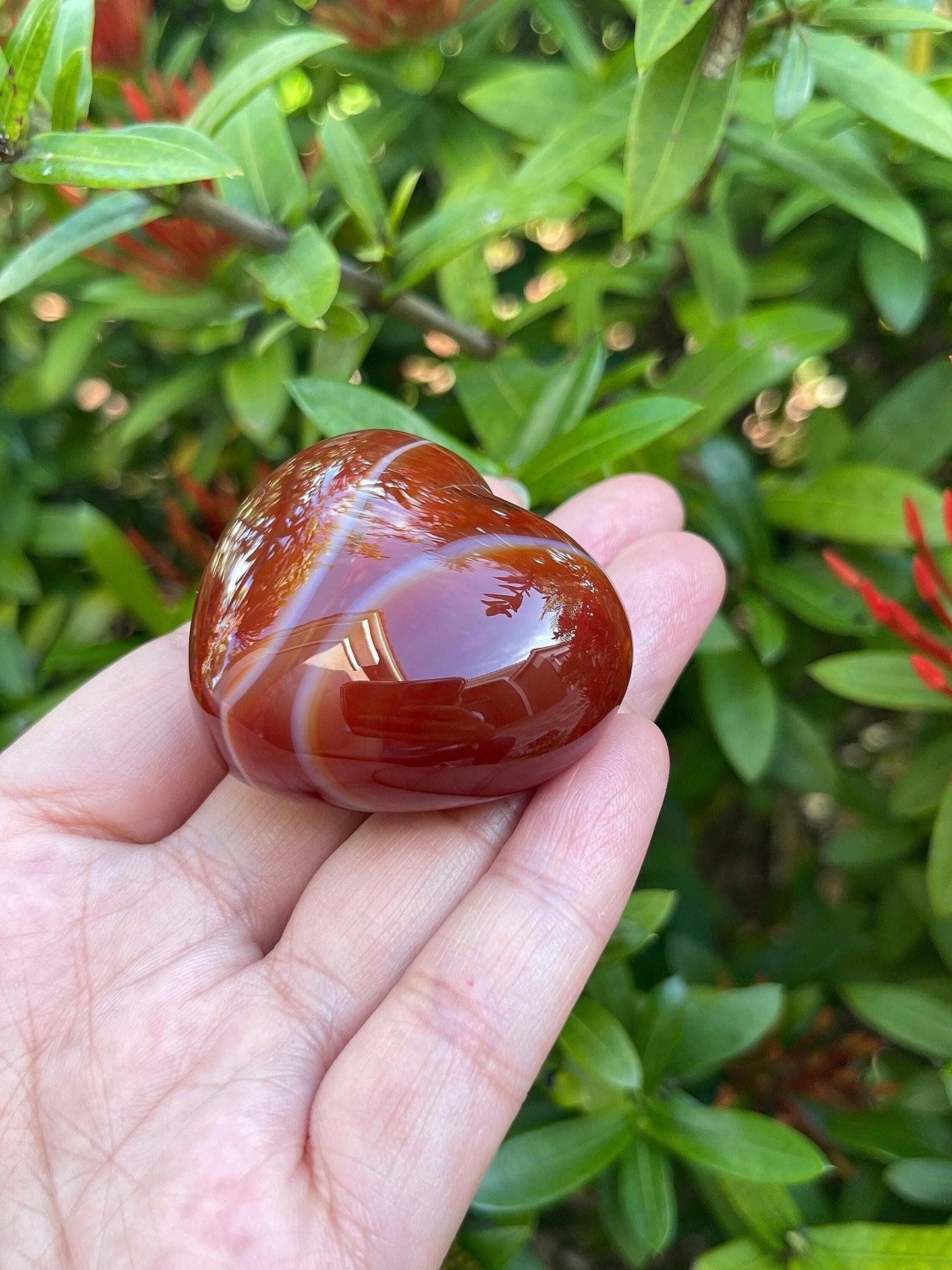 Carnelian Gemstone Hearts, Polished Carnelian Puffy Hearts, Carnelian Crystal Palm Stone, Carnelian Healing Crystal Hearts (1 Heart）
