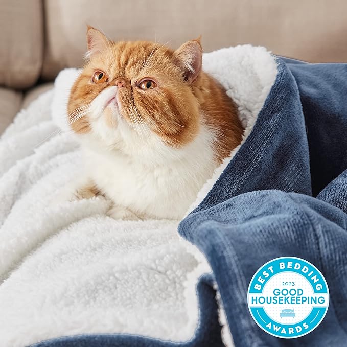 Bedsure GentleSoft Sherpa Fleece Blankets Queen Size for Bed - Thick and Warm, Soft Fuzzy Plush Queen Blanket for Winter, Slate Blue, 90x90 Inches
