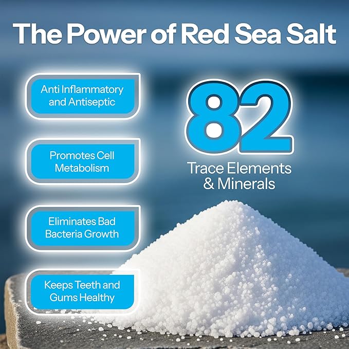 H2Ocean Healing Rinse Mouthwash - Great Tasting Sea Salt & Xylitol Mouth Wash for Fresh Breath & Dry Mouth - Alcohol & Fluoride Free - Arctic Ocean Mint 8oz (Pack of 2)