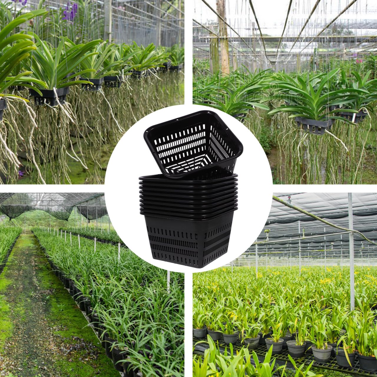 Hemoton Pond Plant Baskets, Heavy Duty Plastic Mesh Net Pots for Aquatic Plant Pot and Hydroponic Baskets in Aquarium Container, 10 Pack